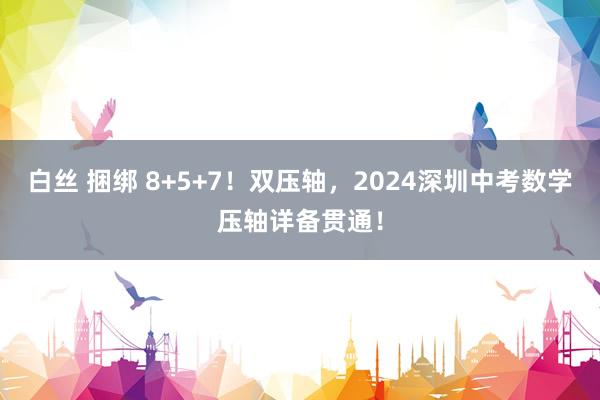 白丝 捆绑 8+5+7！双压轴，2024深圳中考数学压轴详备贯通！