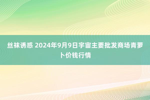 丝袜诱惑 2024年9月9日宇宙主要批发商场青萝卜价钱行情