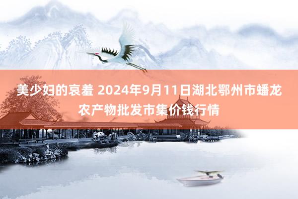 美少妇的哀羞 2024年9月11日湖北鄂州市蟠龙农产物批发市集价钱行情