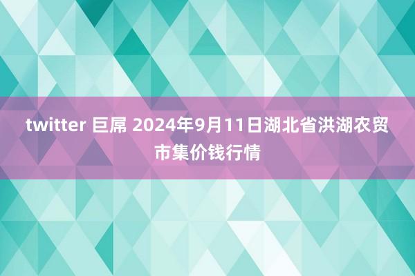 twitter 巨屌 2024年9月11日湖北省洪湖农贸市集价钱行情