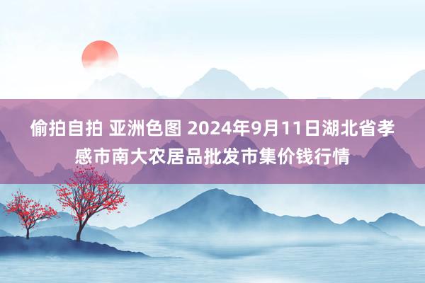 偷拍自拍 亚洲色图 2024年9月11日湖北省孝感市南大农居品批发市集价钱行情