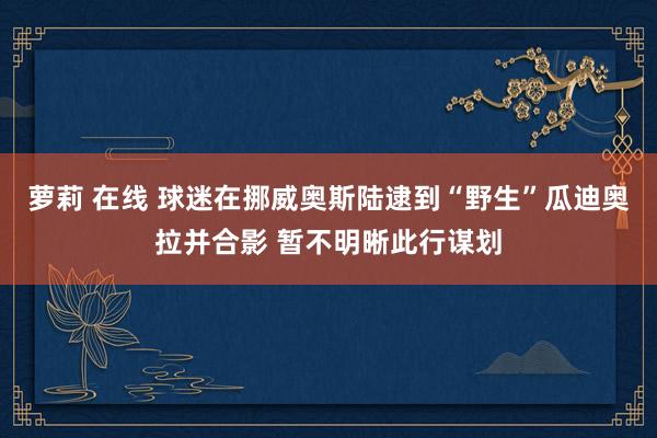 萝莉 在线 球迷在挪威奥斯陆逮到“野生”瓜迪奥拉并合影 暂不明晰此行谋划