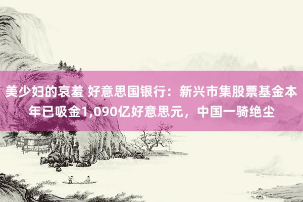 美少妇的哀羞 好意思国银行：新兴市集股票基金本年已吸金1，090亿好意思元，中国一骑绝尘