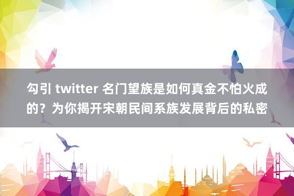 勾引 twitter 名门望族是如何真金不怕火成的？为你揭开宋朝民间系族发展背后的私密