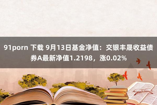 91porn 下载 9月13日基金净值：交银丰晟收益债券A最新净值1.2198，涨0.02%