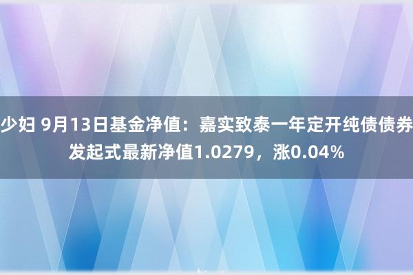 少妇 9月13日基金净值：嘉实致泰一年定开纯债债券发起式最新净值1.0279，涨0.04%