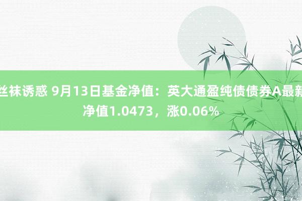 丝袜诱惑 9月13日基金净值：英大通盈纯债债券A最新净值1.0473，涨0.06%