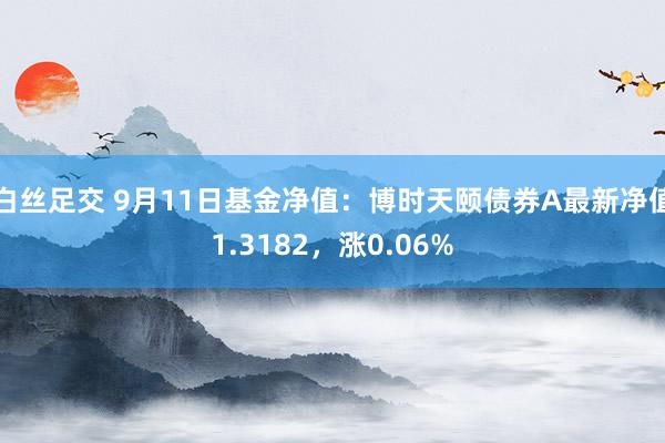 白丝足交 9月11日基金净值：博时天颐债券A最新净值1.3182，涨0.06%