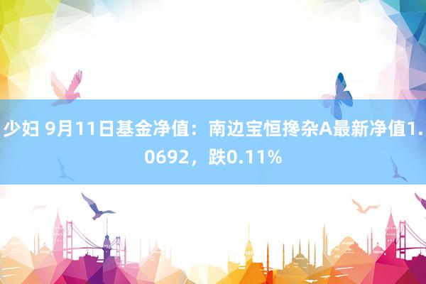 少妇 9月11日基金净值：南边宝恒搀杂A最新净值1.0692，跌0.11%