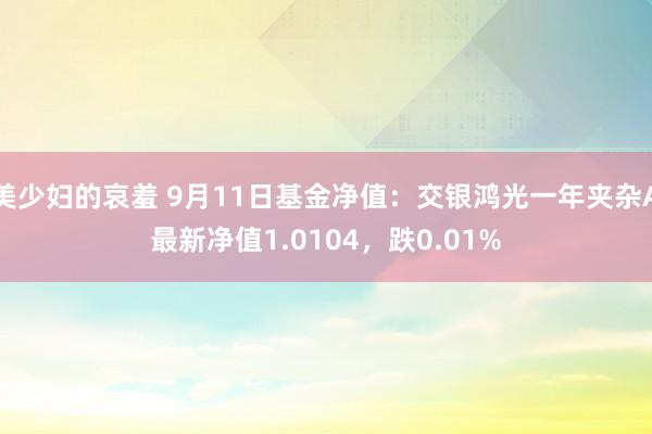 美少妇的哀羞 9月11日基金净值：交银鸿光一年夹杂A最新净值1.0104，跌0.01%