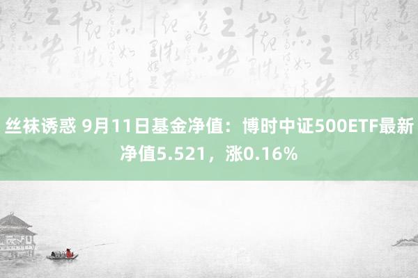 丝袜诱惑 9月11日基金净值：博时中证500ETF最新净值5.521，涨0.16%