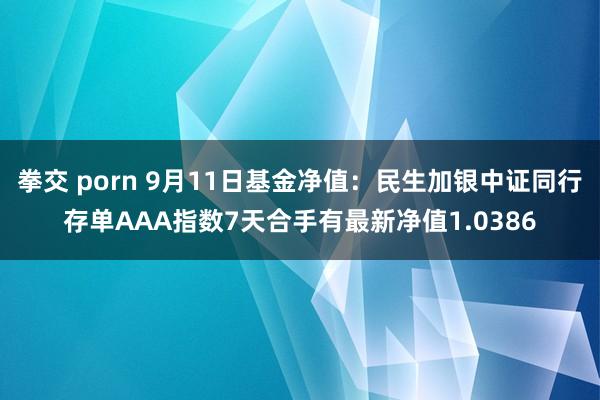 拳交 porn 9月11日基金净值：民生加银中证同行存单AAA指数7天合手有最新净值1.0386