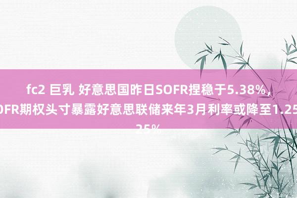 fc2 巨乳 好意思国昨日SOFR捏稳于5.38%，SOFR期权头寸暴露好意思联储来年3月利率或降至1.25%