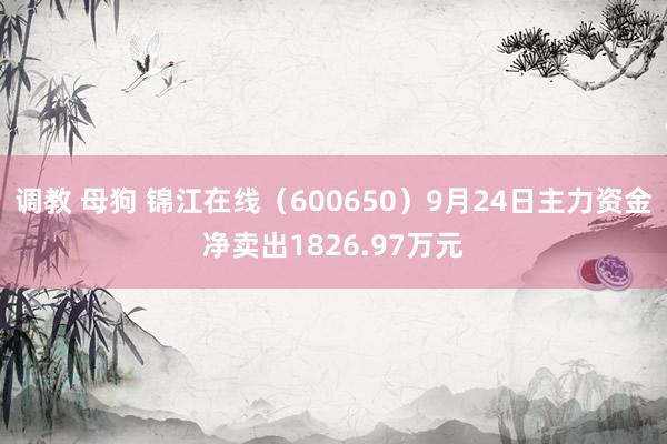 调教 母狗 锦江在线（600650）9月24日主力资金净卖出1826.97万元