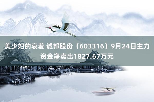 美少妇的哀羞 诚邦股份（603316）9月24日主力资金净卖出1827.67万元