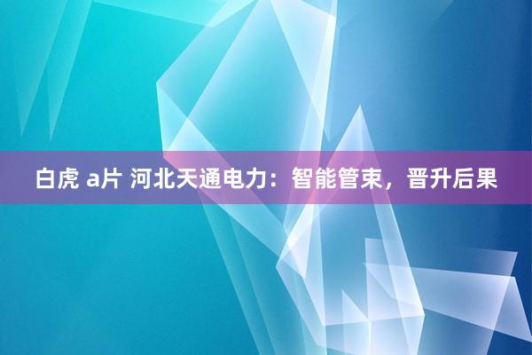 白虎 a片 河北天通电力：智能管束，晋升后果