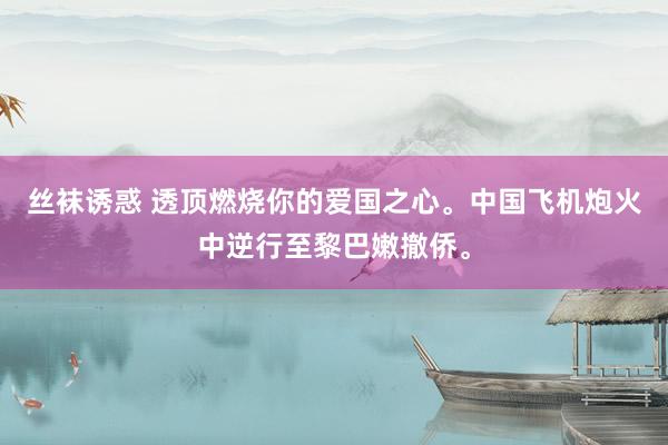 丝袜诱惑 透顶燃烧你的爱国之心。中国飞机炮火中逆行至黎巴嫩撤侨。