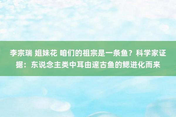 李宗瑞 姐妹花 咱们的祖宗是一条鱼？科学家证据：东说念主类中耳由邃古鱼的鳃进化而来