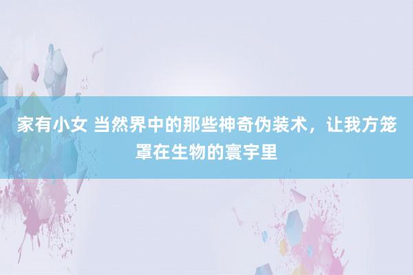 家有小女 当然界中的那些神奇伪装术，让我方笼罩在生物的寰宇里