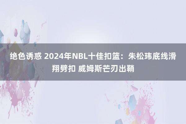 绝色诱惑 2024年NBL十佳扣篮：朱松玮底线滑翔劈扣 威姆斯芒刃出鞘