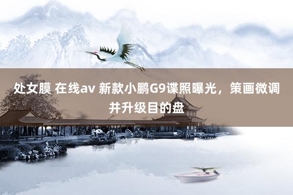 处女膜 在线av 新款小鹏G9谍照曝光，策画微调并升级目的盘