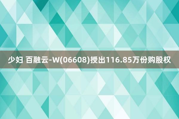 少妇 百融云-W(06608)授出116.85万份购股权