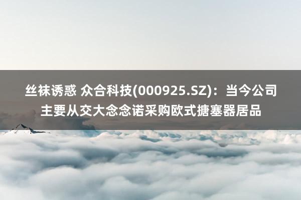 丝袜诱惑 众合科技(000925.SZ)：当今公司主要从交大念念诺采购欧式搪塞器居品