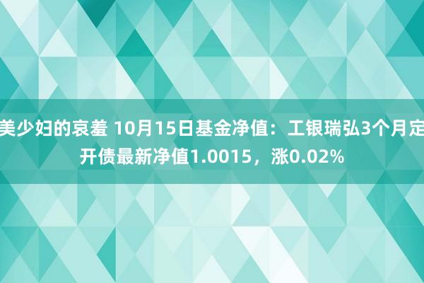 美少妇的哀羞 10月15日基金净值：工银瑞弘3个月定开债最新净值1.0015，涨0.02%