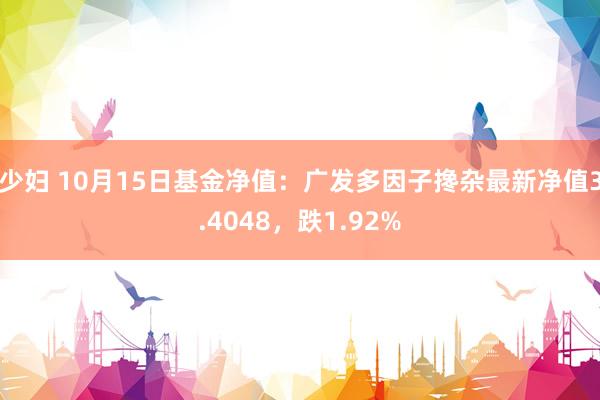 少妇 10月15日基金净值：广发多因子搀杂最新净值3.4048，跌1.92%