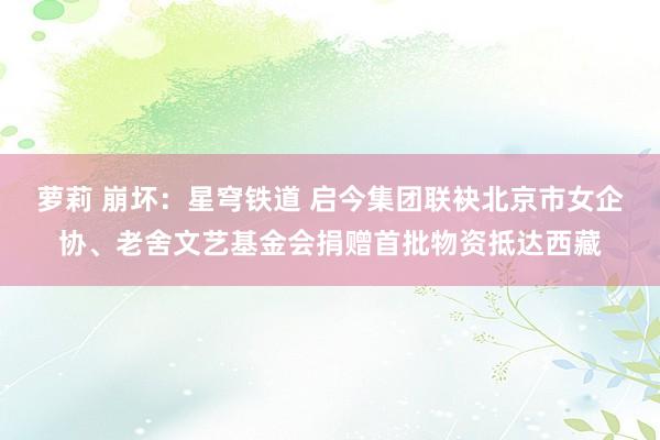 萝莉 崩坏：星穹铁道 启今集团联袂北京市女企协、老舍文艺基金会捐赠首批物资抵达西藏