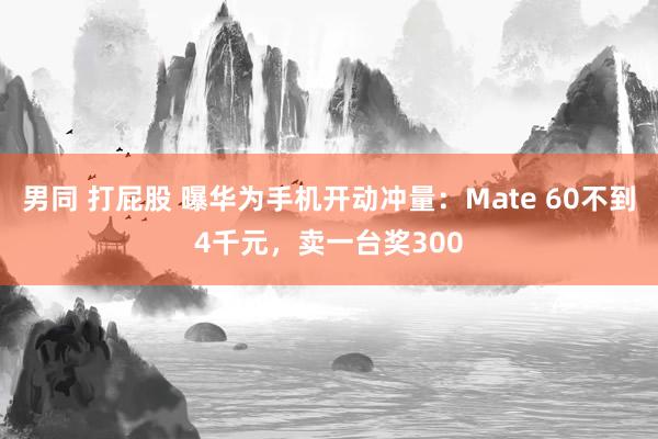 男同 打屁股 曝华为手机开动冲量：Mate 60不到4千元，卖一台奖300