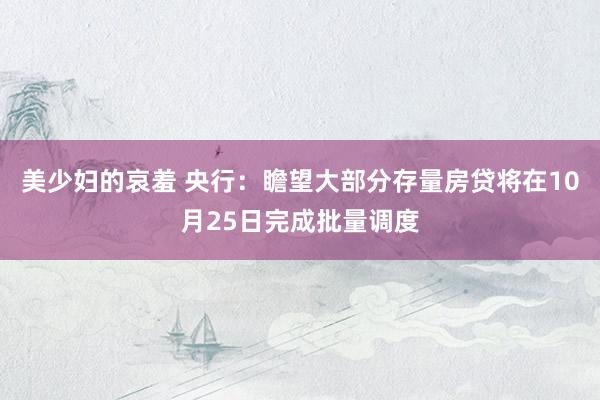 美少妇的哀羞 央行：瞻望大部分存量房贷将在10月25日完成批量调度