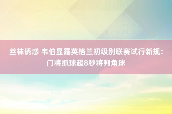 丝袜诱惑 韦伯显露英格兰初级别联赛试行新规：门将抓球超8秒将判角球