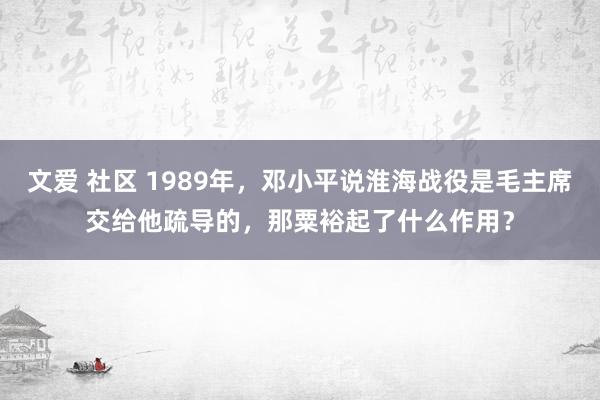 文爱 社区 1989年，邓小平说淮海战役是毛主席交给他疏导的，那粟裕起了什么作用？