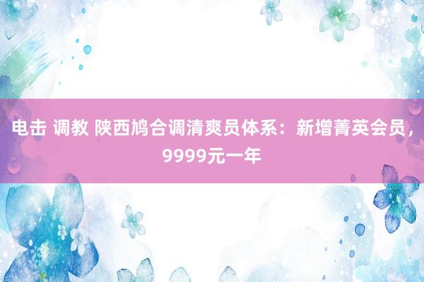 电击 调教 陕西鸠合调清爽员体系：新增菁英会员，9999元一年