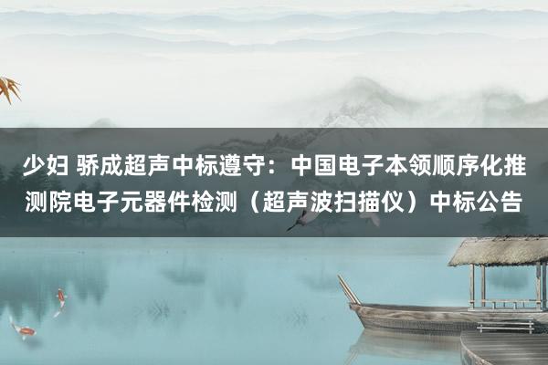 少妇 骄成超声中标遵守：中国电子本领顺序化推测院电子元器件检测（超声波扫描仪）中标公告