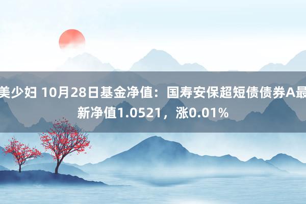 美少妇 10月28日基金净值：国寿安保超短债债券A最新净值1.0521，涨0.01%