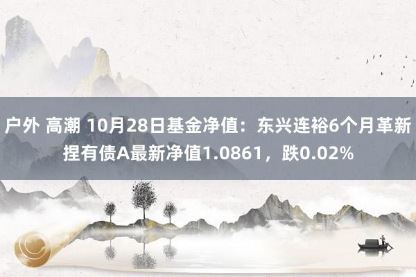 户外 高潮 10月28日基金净值：东兴连裕6个月革新捏有债A最新净值1.0861，跌0.02%