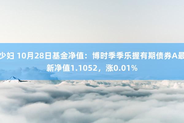 少妇 10月28日基金净值：博时季季乐握有期债券A最新净值1.1052，涨0.01%