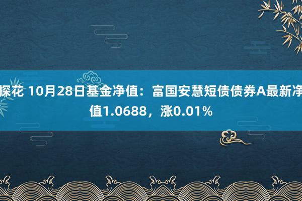 探花 10月28日基金净值：富国安慧短债债券A最新净值1.0688，涨0.01%