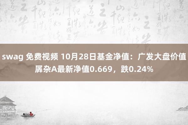 swag 免费视频 10月28日基金净值：广发大盘价值羼杂A最新净值0.669，跌0.24%