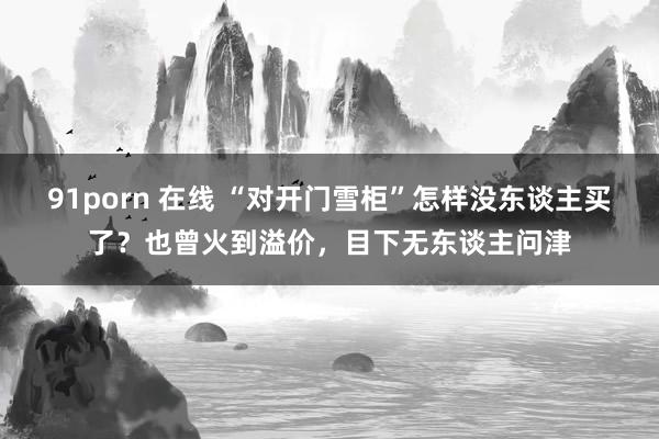 91porn 在线 “对开门雪柜”怎样没东谈主买了？也曾火到溢价，目下无东谈主问津