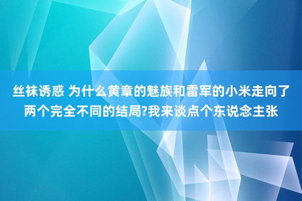 丝袜诱惑 为什么黄章的魅族和雷军的小米走向了两个完全不同的结局?我来谈点个东说念主张