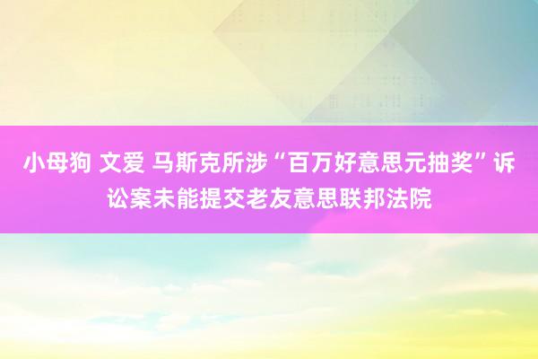 小母狗 文爱 马斯克所涉“百万好意思元抽奖”诉讼案未能提交老友意思联邦法院