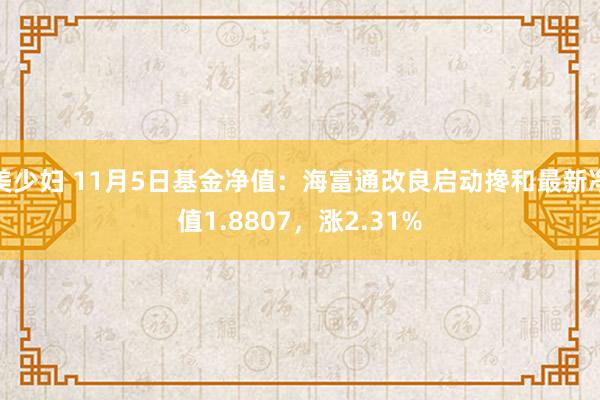 美少妇 11月5日基金净值：海富通改良启动搀和最新净值1.8807，涨2.31%