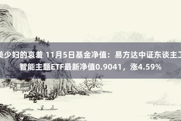 美少妇的哀羞 11月5日基金净值：易方达中证东谈主工智能主题ETF最新净值0.9041，涨4.59%