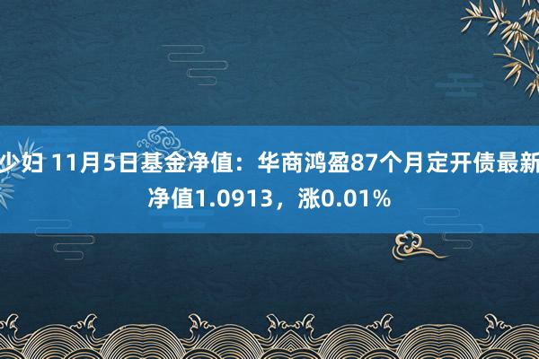 少妇 11月5日基金净值：华商鸿盈87个月定开债最新净值1.0913，涨0.01%