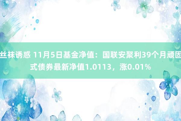 丝袜诱惑 11月5日基金净值：国联安聚利39个月顽固式债券最新净值1.0113，涨0.01%