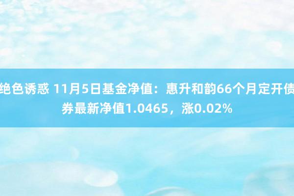 绝色诱惑 11月5日基金净值：惠升和韵66个月定开债券最新净值1.0465，涨0.02%