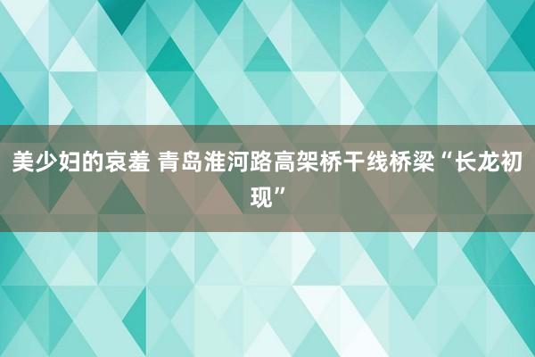 美少妇的哀羞 青岛淮河路高架桥干线桥梁“长龙初现”